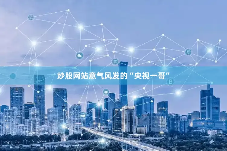炒股网站意气风发的“央视一哥”