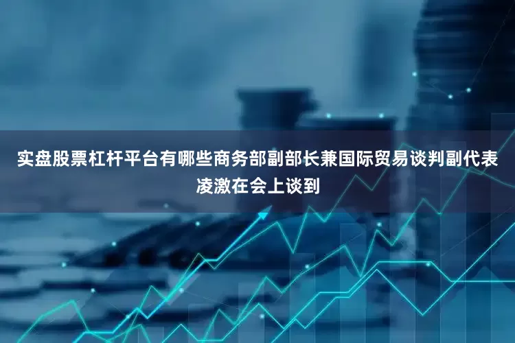 实盘股票杠杆平台有哪些商务部副部长兼国际贸易谈判副代表凌激在会上谈到