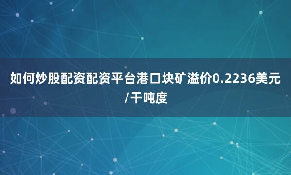 如何炒股配资配资平台港口块矿溢价0.2236美元/干吨度