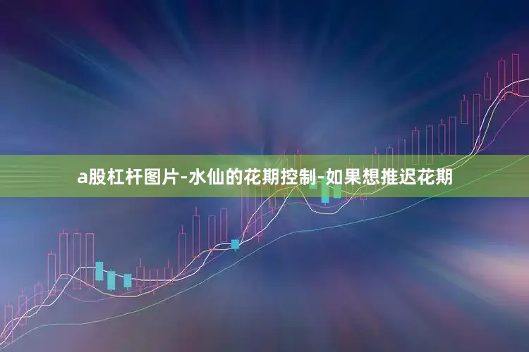 a股杠杆图片-水仙的花期控制-如果想推迟花期