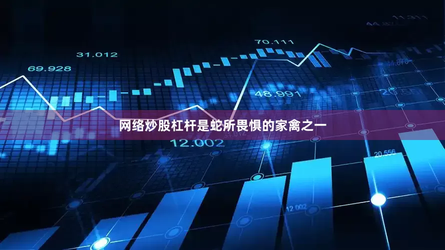 网络炒股杠杆是蛇所畏惧的家禽之一