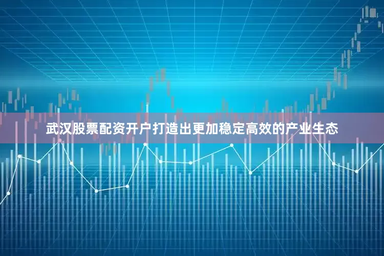 武汉股票配资开户打造出更加稳定高效的产业生态
