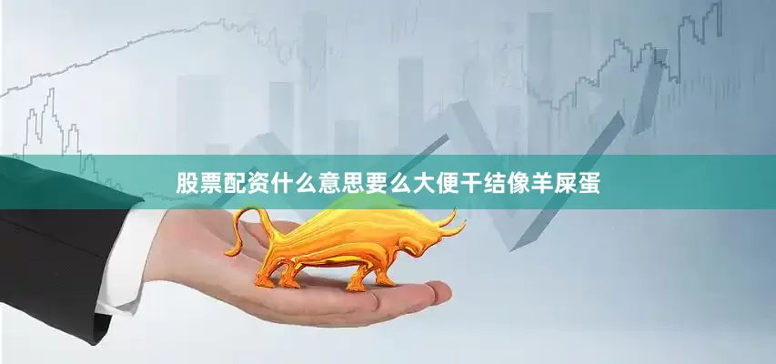 股票配资什么意思要么大便干结像羊屎蛋